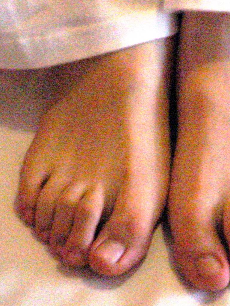 Photo de Noelle